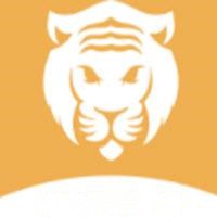 蕾丝视频入口导航