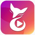 成全手机视频在线观看高清版