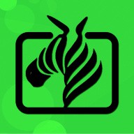 低端影视ddrs播放器_logo