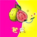 樱桃视频ios视频最新版