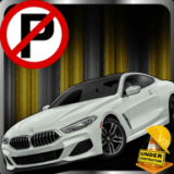 停车场任务Car Parking Missions Simulator免费下载最新版2022