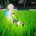 草坪粉碎机(Lawn Crusher)_logo